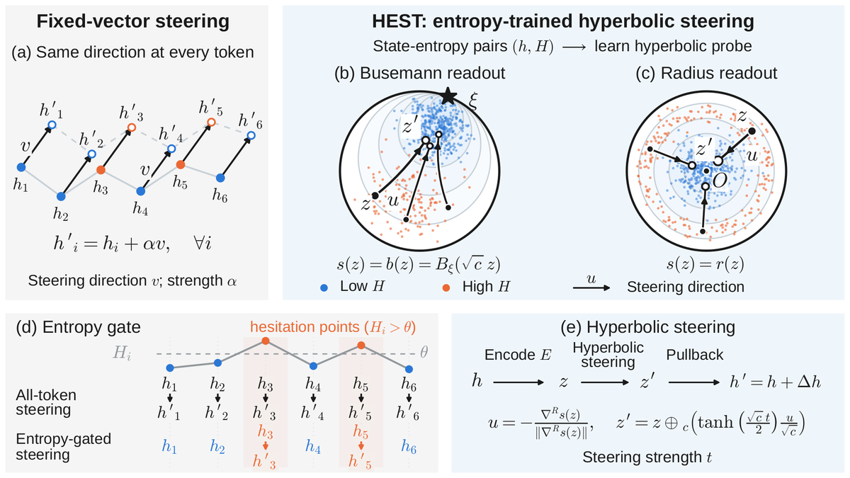 Overview of HEST: the entropy gate, the hyperbolic probe and the steering step