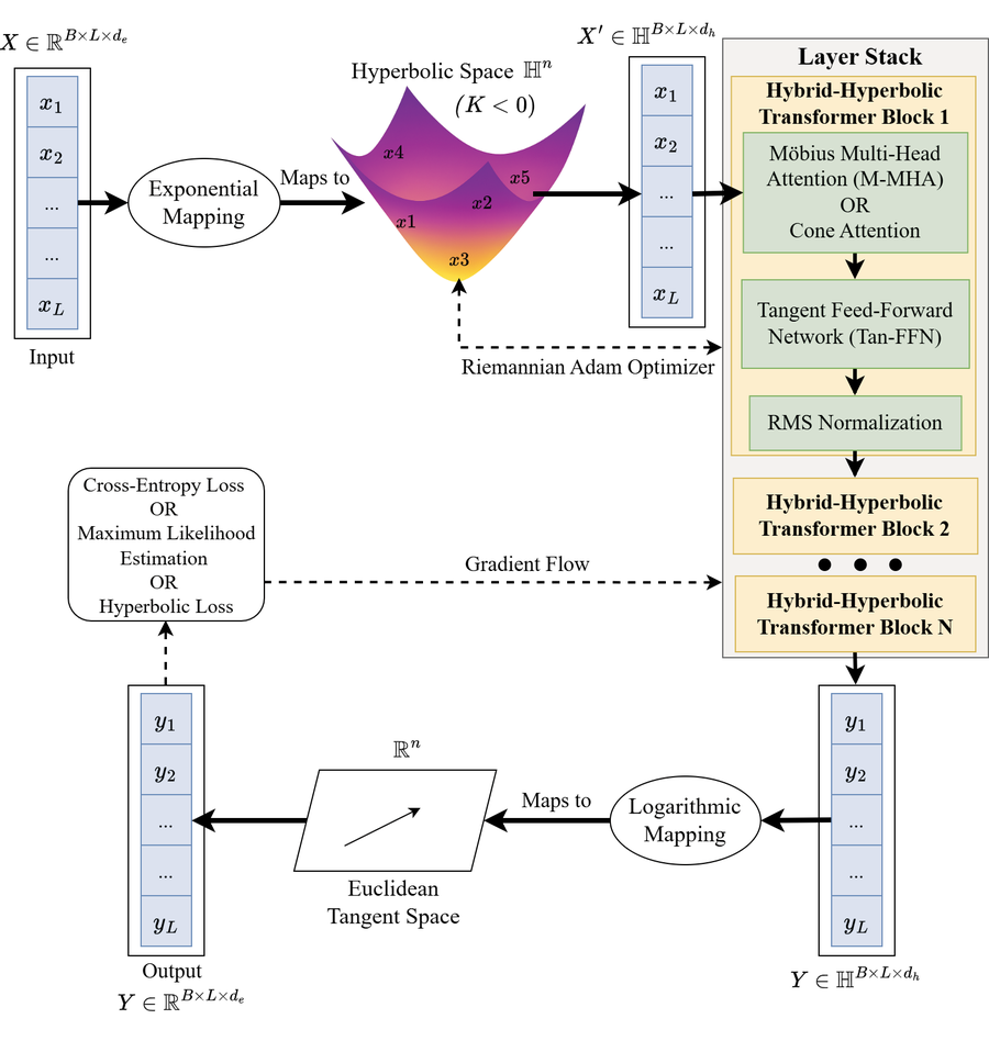 Hybrid hyperbolic-Euclidean architecture from the survey